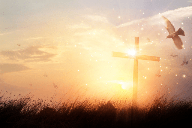 Manifesting Miracles