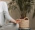 Holistic Approach to Manifestation and Health